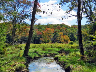 picture taken during a hike