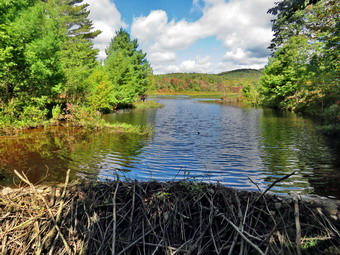 picture taken during a hike