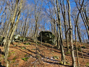 picture taken during a hike