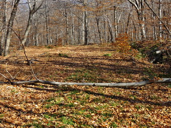 picture taken during a hike