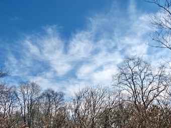 picture taken during a hike