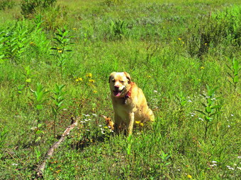 picture taken during a hike