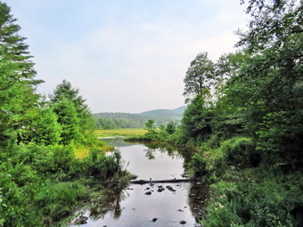 picture taken during a hike