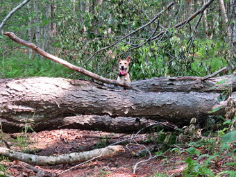 picture taken during a hike