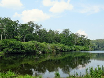 picture taken during a hike