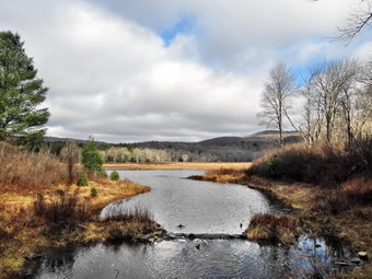 picture taken during a hike