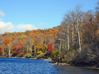 picture taken during a hike