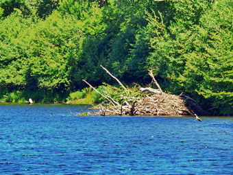 picture taken during a hike