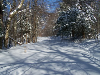 picture taken during a hike
