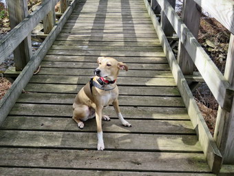 picture taken during a hike