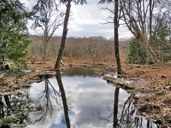 picture taken during a hike