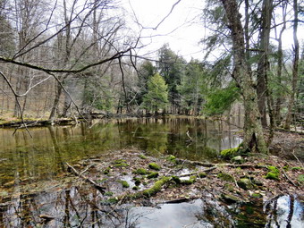 picture taken during a hike