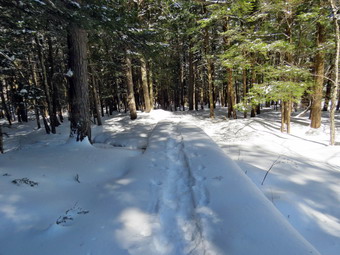 picture taken during a hike