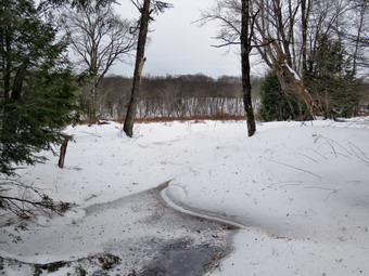 picture taken during a hike