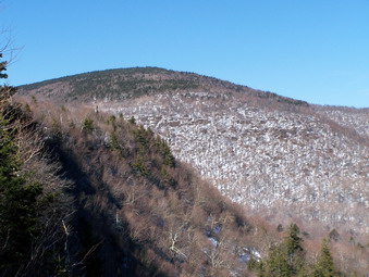 picture taken during a hike