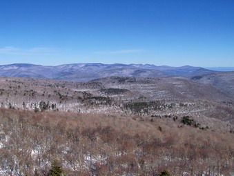 picture taken during a hike