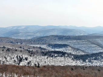 picture taken during a hike