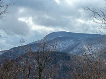 picture taken during a hike