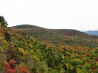 picture taken during a hike