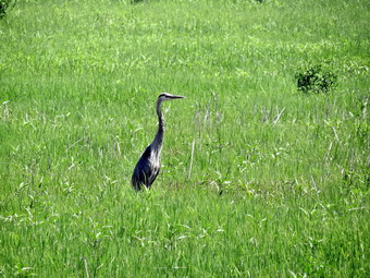 picture taken during a hike