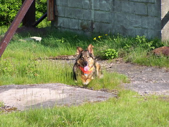 picture taken during a hike