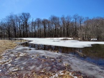picture taken during a hike