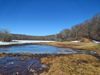 picture taken during a hike