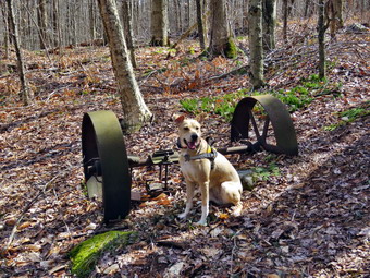 picture taken during a hike