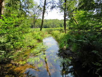 picture taken during a hike