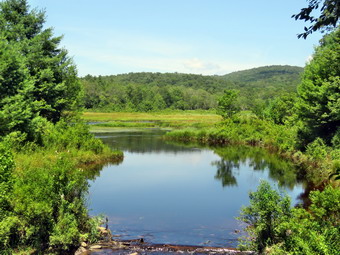 picture taken during a hike