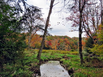 picture taken during a hike