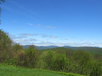 picture taken during a hike