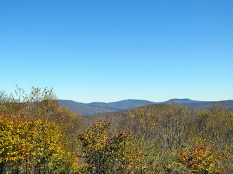 picture taken during a hike