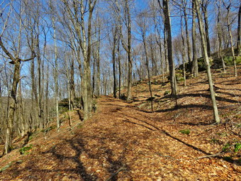 picture taken during a hike