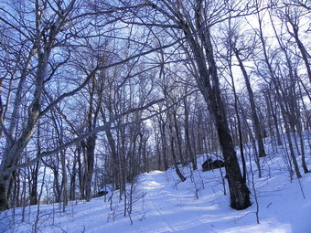 picture taken during a hike