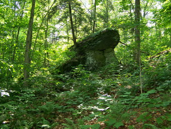 picture taken during a hike