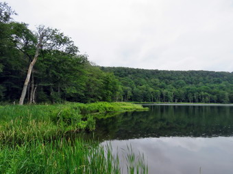 picture taken during a hike