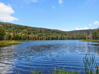 picture taken during a hike
