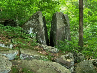 picture taken during a hike