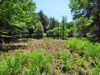 picture taken during a hike