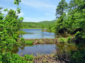 picture taken during a hike