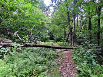 picture taken during a hike