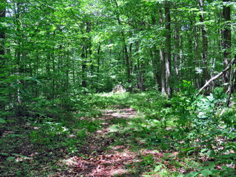 picture taken during a hike