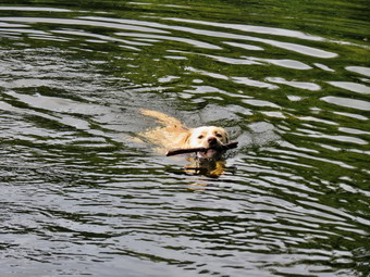 picture taken during a hike