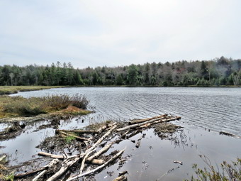 picture taken during a hike