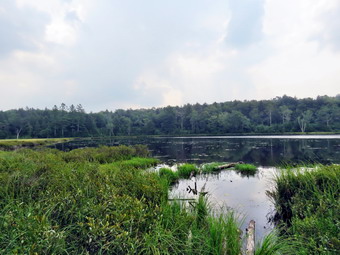 picture taken during a hike