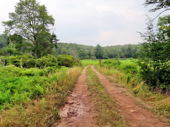 picture taken during a hike