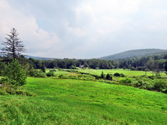 picture taken during a hike