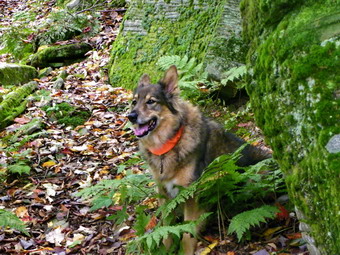 picture taken during a hike