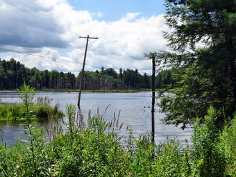 picture taken during a hike